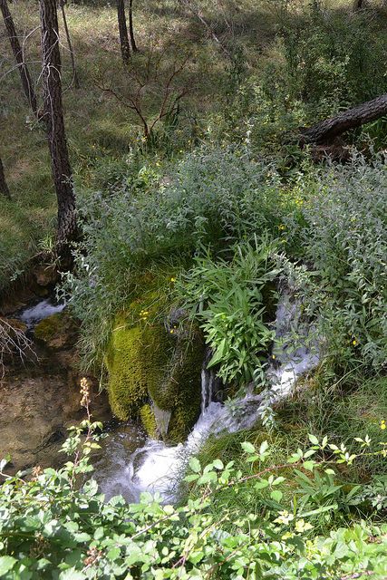santuario-virgen-de-montesinos-parque-natural-alto-tajo-cobeta-guadalajara-rio-arandilla-11