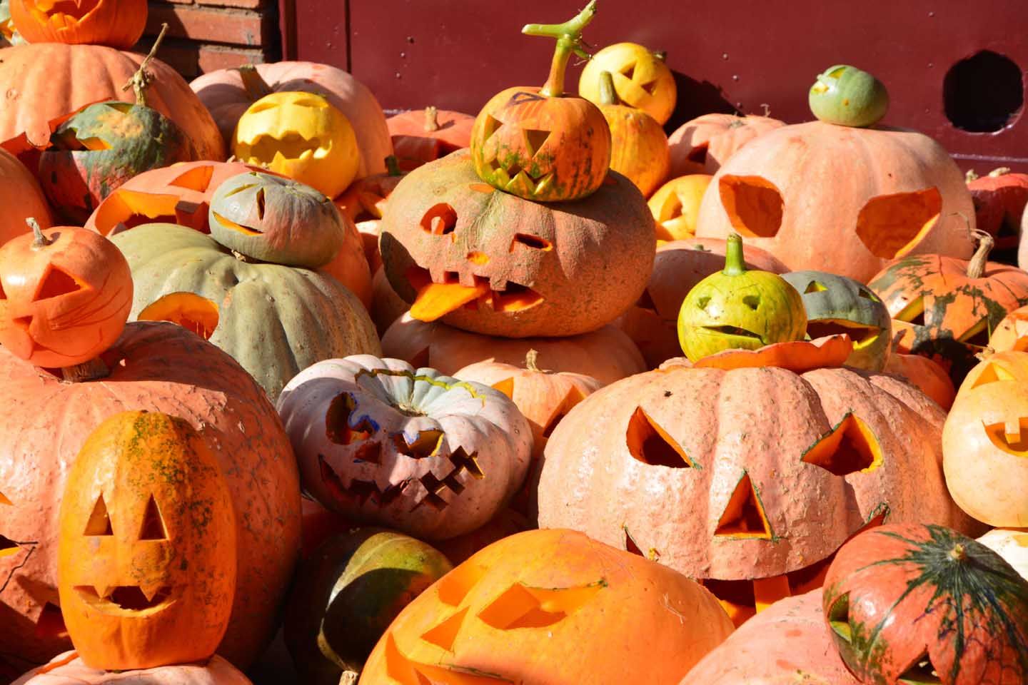 Trasmoz, el pueblo de las brujas, halloween, brujas, cementerios, fiestas tradicionales, calabaza, luz de las ánimas, Castillo Trasmoz, Moncayo, Zaragoza, Aragón, Panibericana v14