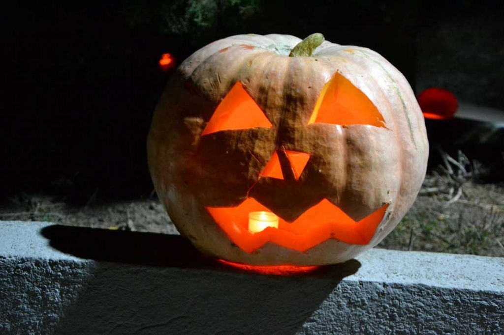 Trasmoz, el pueblo de las brujas, halloween, brujas, cementerios, fiestas tradicionales, calabaza, luz de las ánimas, Castillo Trasmoz, Moncayo, Zaragoza, Aragón, Panibericana v3