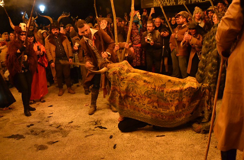 La vaca Marela de Maceda.